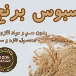 سبوس برنج
